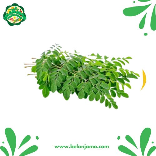 Daun Kelor