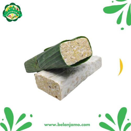 Tempe Daun