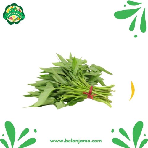 Kangkung